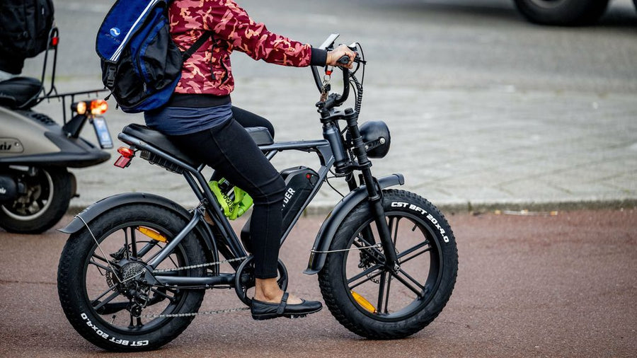 Was sind die Regeln für Fatbikes in den Niederlanden?