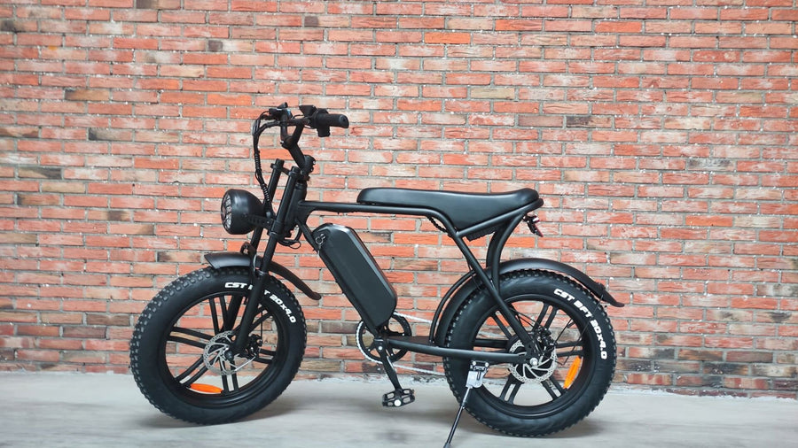 Welches Fatbike soll man am besten kaufen? (2025)